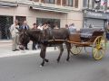 fete 2015 (124).JPG